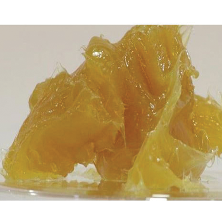 services image